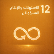 الهدف ١٢