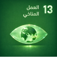 الهدف ١٣