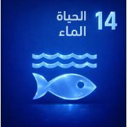 الهدف ١٤