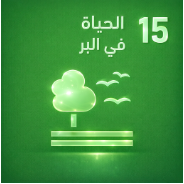 الهدف ١٥