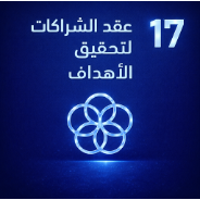 الهدف ١٧